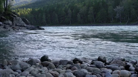 Stony bank of a mountain river. 库存影片 79732062