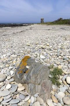 Stony Beach Texture Foto stock