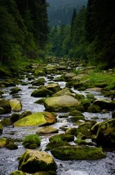 Stony bed of the river which is called Vydra. Stock Photos