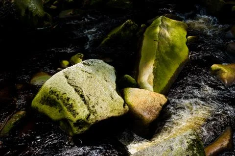 Stony bed of the river which is called Vydra. Stock Photos