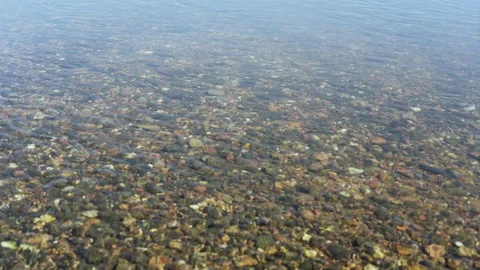 Stony bottom of the river 库存影片 93754136