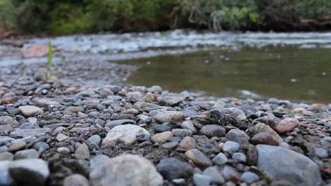 Stony Creek Close up Stock Footage 90862870