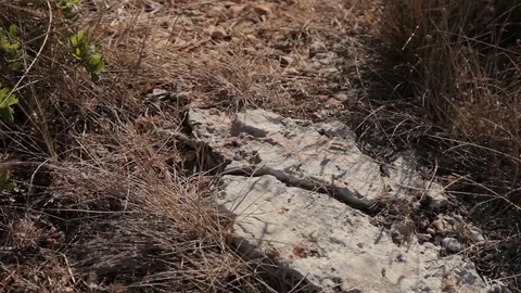 The stony hillside on the coast of the Cala Mendia. Mallorca Stock Footage 76006934