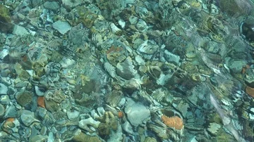Stony lake bed seen through crystal clear water on sunny day Stock Footage 85575205