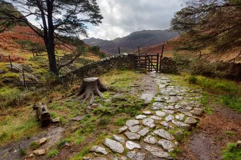 Stony Path in the Lake District Stock Photos