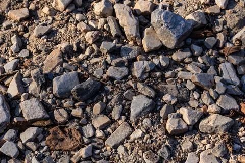 A stony path littered with dried leaves under warm sunlight, capturing the .. Foto stock