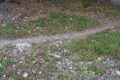 A stony path through grass and fallen leaves Stock Photos