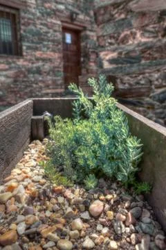 Stony planter Stock Photos