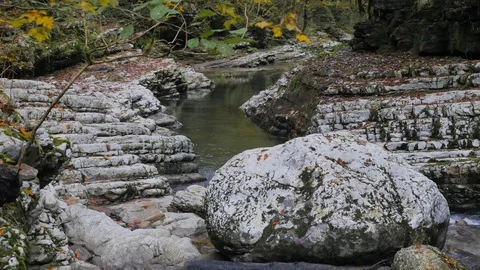 Stony Psaho river streams through the deep autumn box forest in Caucasus 4K Stock Footage 94520446