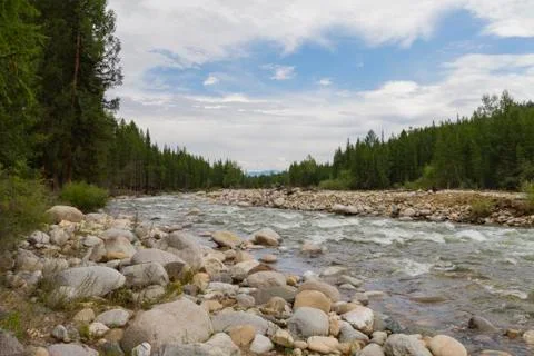 Stony river bank. Stock Photos