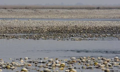 A stony river bed Stock Photos