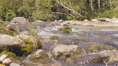 Stony river stream in mountain forest. Water stream quickly flowing close up Stock Footage 94159983