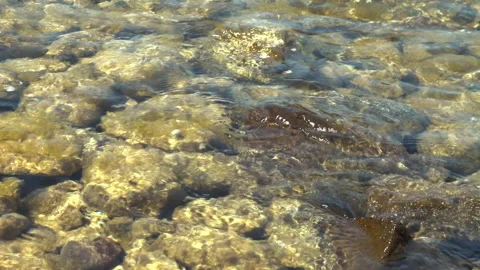 Stony sea bottom Видео 258921305