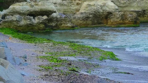 Stony seashore. Green algae on the shore. Weak surf sea waves. Stock Footage 154654302