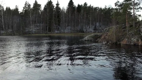 Stony shore of the lake with trees Stock Footage 82583743