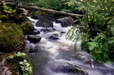 Stony stream in the forest area Stock Photos