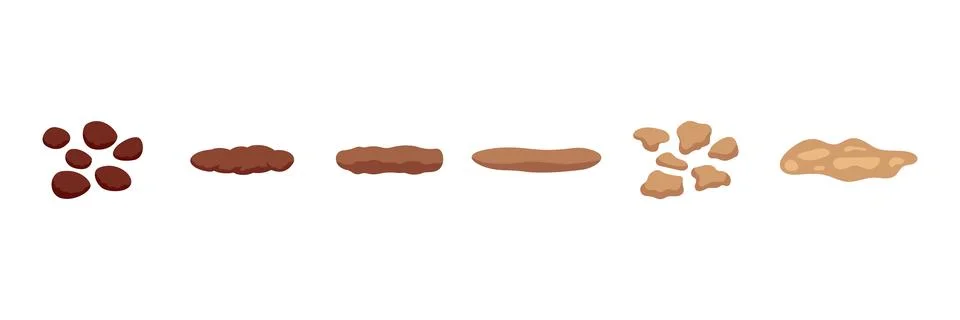 Stool faeces type classification, structure excrement. Types consistence fece Stock Illustration