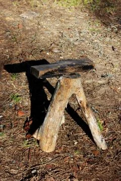 A stool made of a tree trunk with a fork. furniture living in the forest. Woo Stock Photos