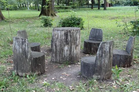 Stools and table from the trunk of tree Stock Photos