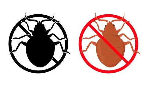 Stop bed bugs infestation with anti pest control and disinfection Stock Illustration