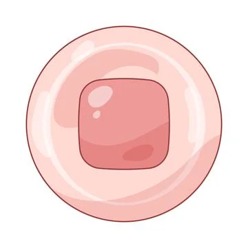 Stop button Иллюстрация
