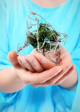 Stop cutting down forests.  Stock Photos