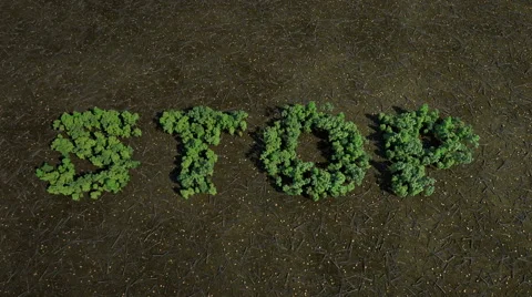 Stop Deforestation Vídeo Stock 45112837