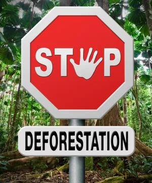 Stop deforestation Illustrazione stock
