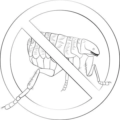 Stop fleas bugs sign black line vector symbol Stock Illustration