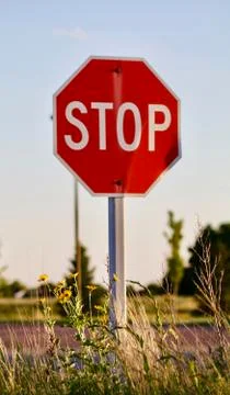 Stop for flowers Stock Photos