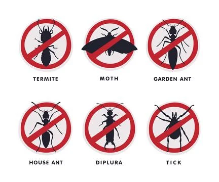 Stop Insect Ban Sign with Red Cross Circle and Bug Inside Vector Set 스톡 일러스트