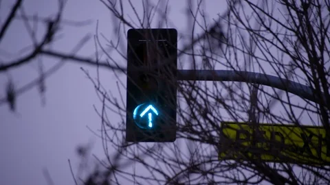 Stop Light Green Arrow -  Los Angeles, CA Stock Footage 88934369