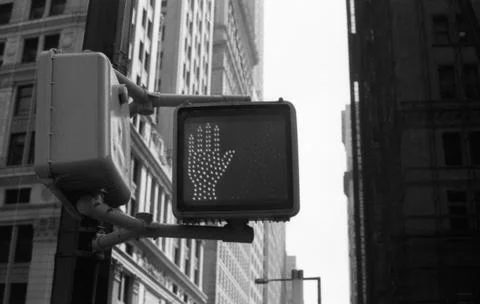 Stop Light 스톡 사진