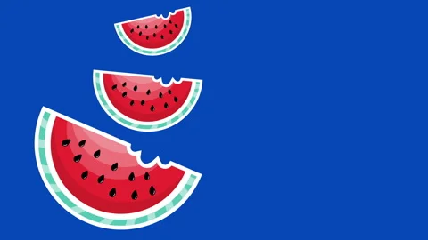 STOP MOTION 3 WATERMELON STICKER Stock Footage 243193272