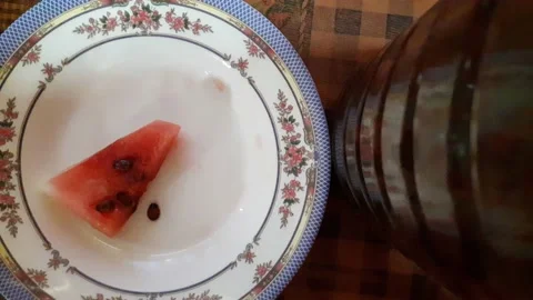 Stop Motion 4k Stock Footage 178211083