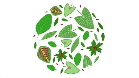 Stop motion animated circle of tropical leaves. vector illustration Stock Footage 117306131