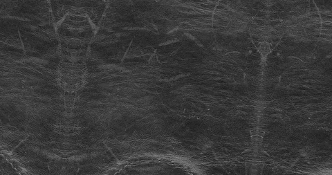 Stop motion animated leather texture background or luma matte Stock Footage 100779855