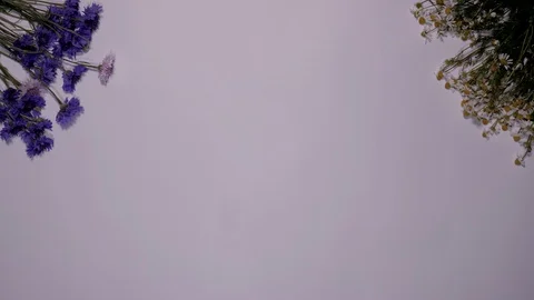 Stop motion animated timelapse of coffee beans daisies flowers and croissants ea Stock Footage 130008986