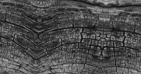 Stop motion animated wood texture background or luma matte Stock Footage 101168671