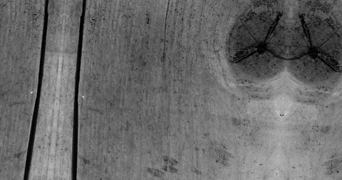 Stop motion animated wood texture background or luma matte Stock Footage 101169081