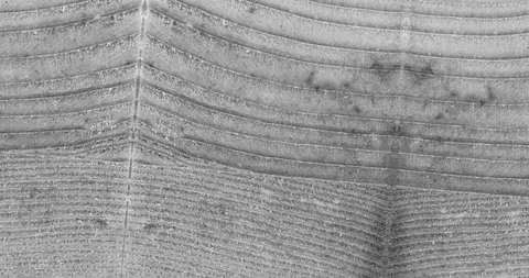 Stop motion animated wood texture background or luma matte Stock-Footage 101170549