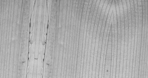 Stop motion animated wood texture background or luma matte Stock-Footage 101171046