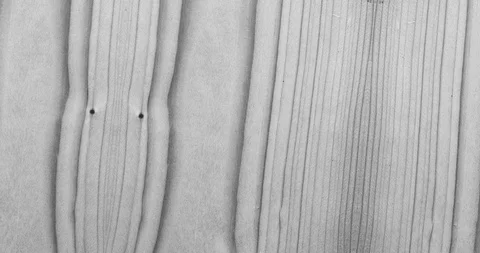 Stop motion animated wood texture background or luma matte Stock-Footage 101172757