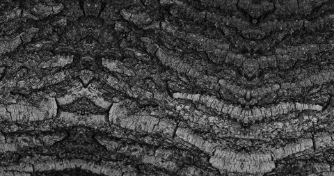 Stop motion animated wood texture background or luma matte Stock-Footage 101173369