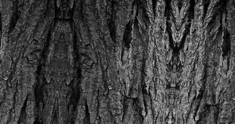 Stop motion animated wood texture background or luma matte Stock-Footage 101174623