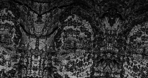 Stop motion animated wood texture background or luma matte Stock-Footage 101175082