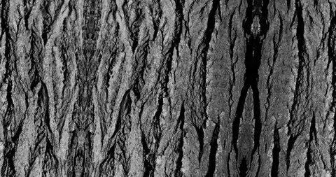 Stop motion animated wood texture background or luma matte Stock-Footage 101175537