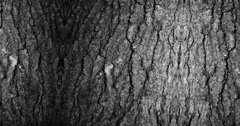 Stop motion animated wood texture background or luma matte Stock-Footage 101175567