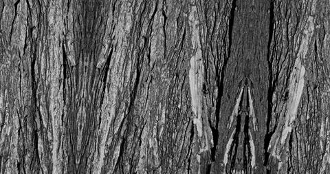 Stop motion animated wood texture background or luma matte Stock-Footage 101176100