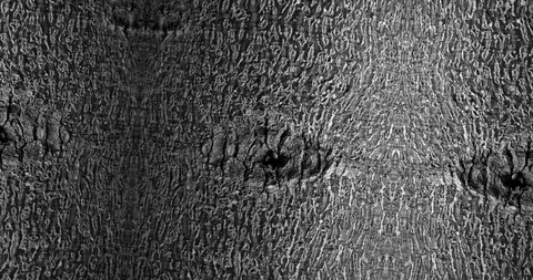 Stop motion animated wood texture background or luma matte Stock-Footage 101176521